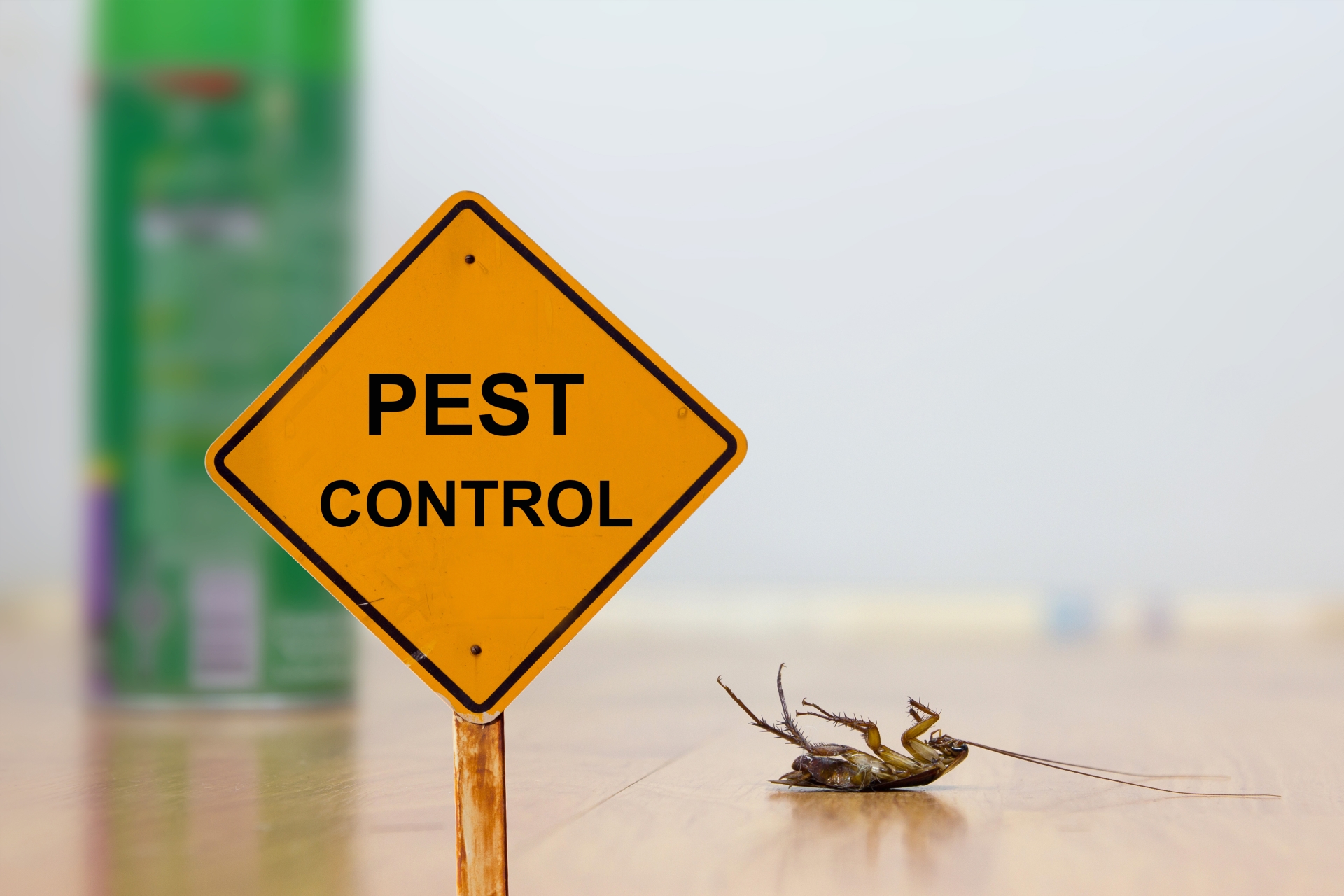 24 Hour Pest Control, Pest Control in Ponders End, Enfield Wash, EN3. Call Now 020 8166 9746