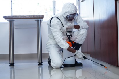 Emergency Pest Control, Pest Control in Ponders End, Enfield Wash, EN3. Call Now 020 8166 9746