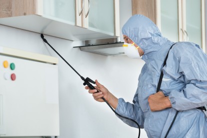 Home Pest Control, Pest Control in Ponders End, Enfield Wash, EN3. Call Now 020 8166 9746